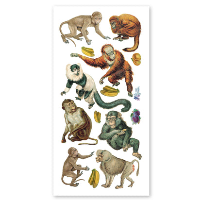 Apes & Monkeys Stickers